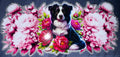 Glitter dog